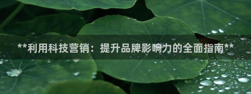 金年会VIP网页版在线登录入口