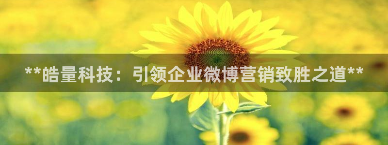 金年会官方入口app