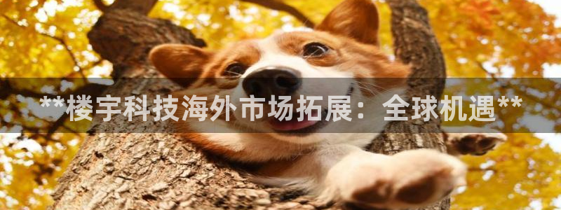金年会体育app最新官网下载