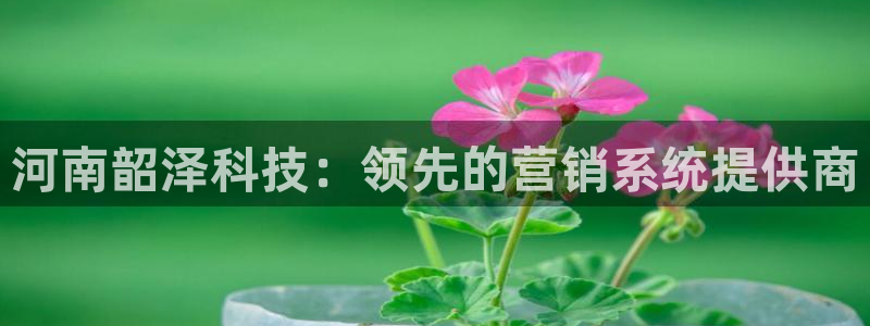 金年会体育如何