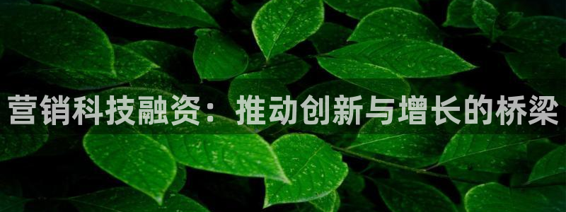 金年会官方在线登录网址是多少啊