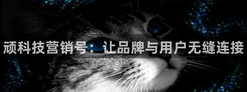 金年会官方网站入口登录网址是什么