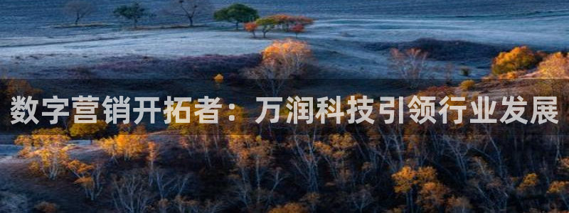 金年会App是不是钓鱼软件