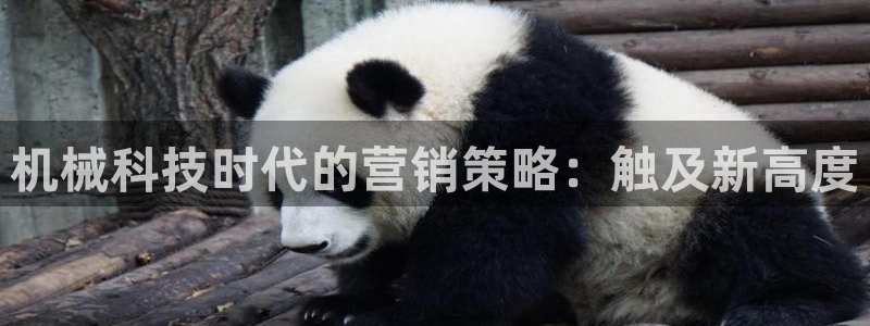 金年会在线入口登陆