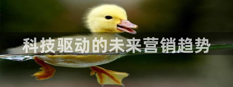 金年会金字招牌网址