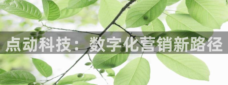 金年会官方在线登录网址是什么意思