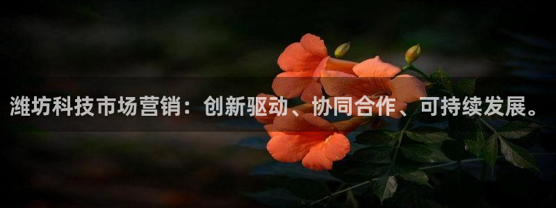 金年会pg电子官网