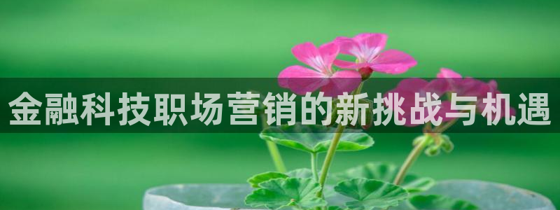 金年会体育app最新官网下载苹果