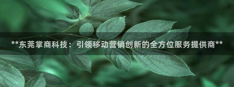 金年会金字招牌入口