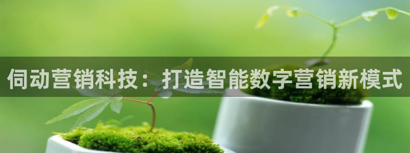 金年会入口