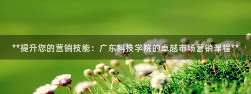 金年会下载官网app