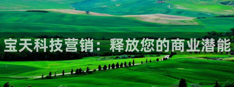 金年会体育出款审核七天