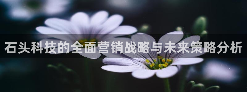 金年会官方在线入口网址是什么