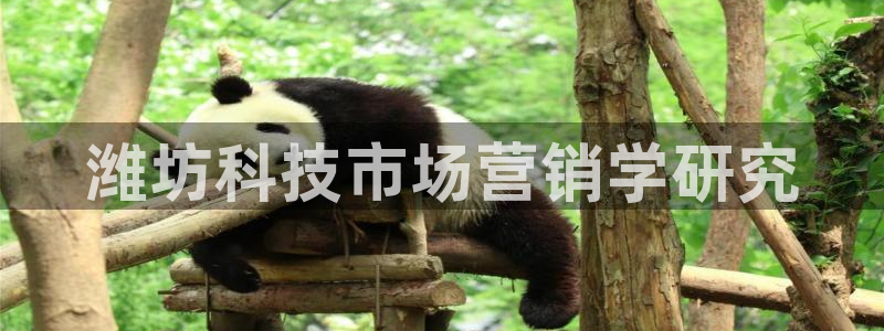 金年会官方在线登录网址是多少