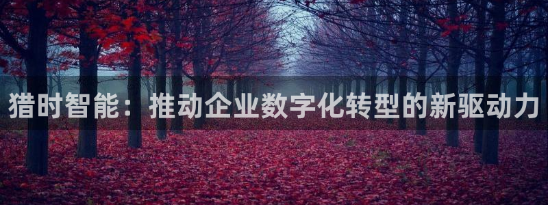 金年会平台怎么样