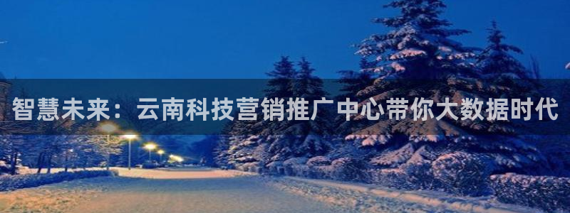 金年会体育app入口