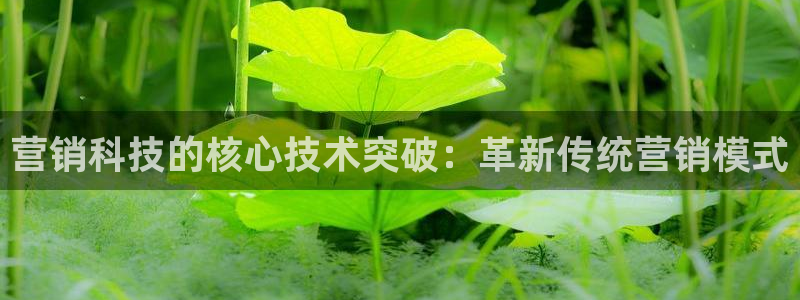 金年会电子官网