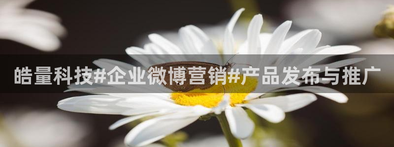 金年会app官网下载