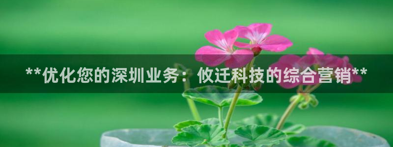 金年会体育综合App
