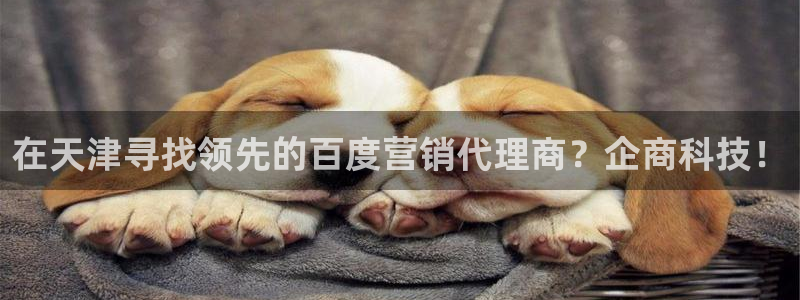 金年会体育app最新官网下载安装