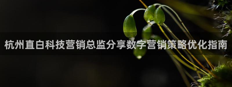 金年会官方新入口