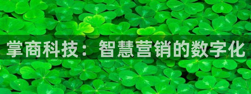 金年会赌博
