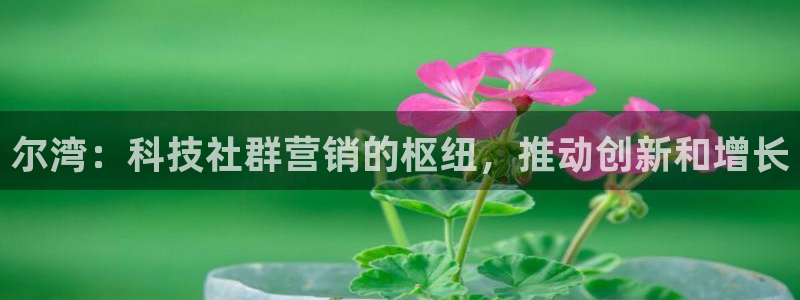 金年会体育综合App
