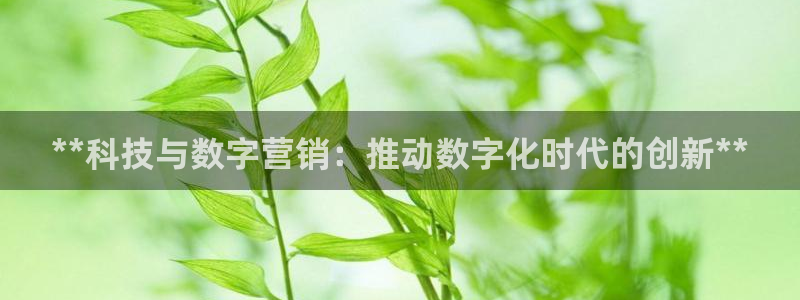 金年会官方在线登录网址是多少号