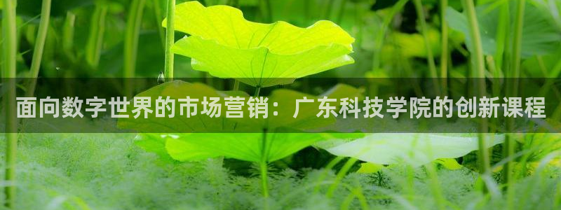 金年会网站入口