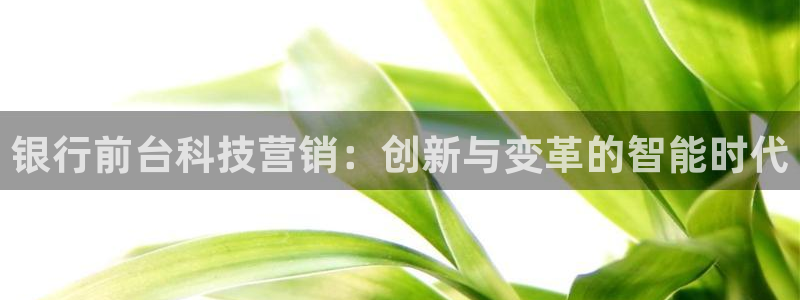 金年会VIP