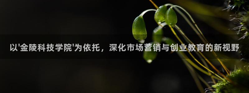 金年会 金字招牌诚信至上欢迎您