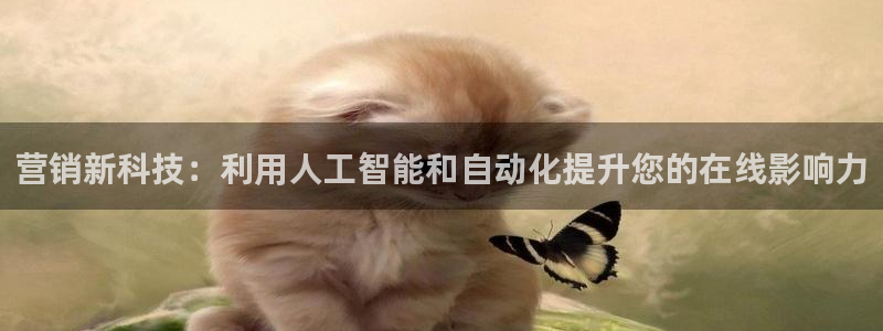 金年会黑不黑