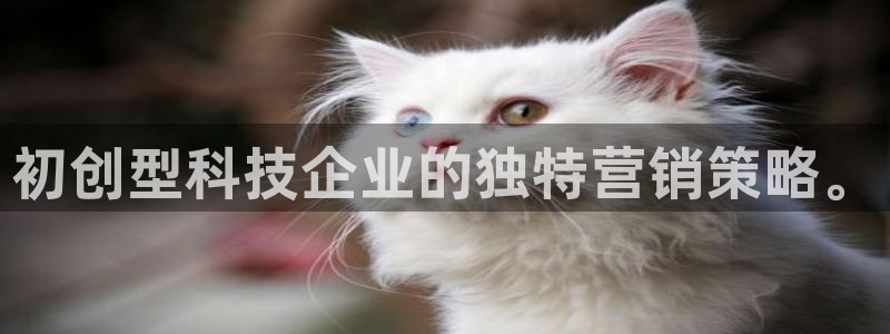 金年会app平台有人玩过吗