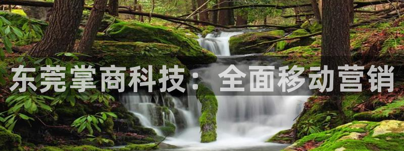 金年会电子游戏app官方网站