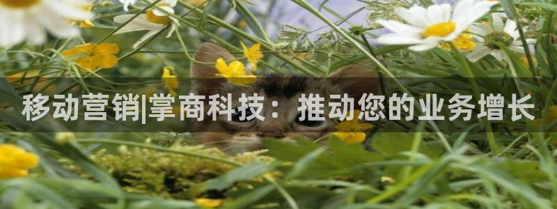 金年会体育苹果下载app