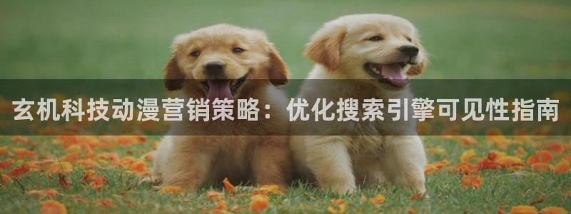 金年会手机网页版官网