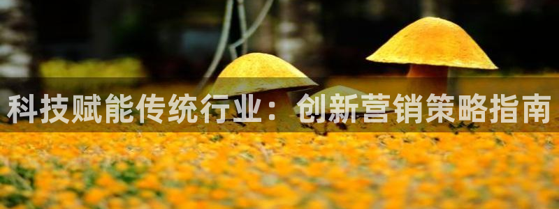 金年会pg麻将胡了