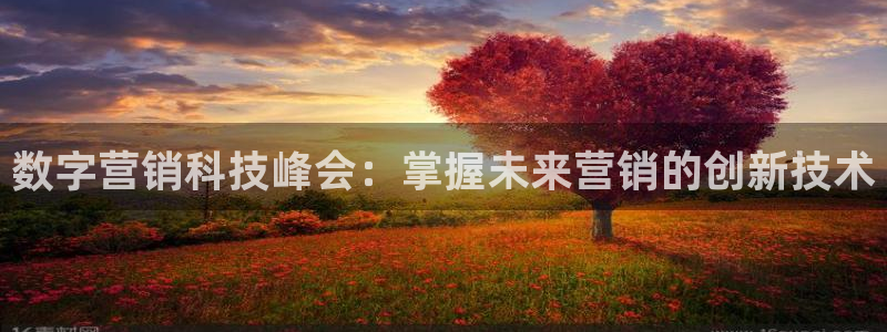 金年会体育app最新下载