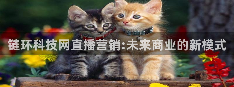 金年会金字招牌至上用了多少钱?