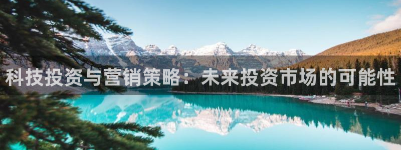金年会体育手机app下载官网