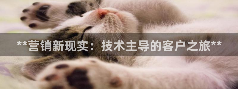 金年会体育app官网入口