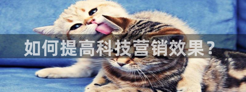 jinnianhui金年会