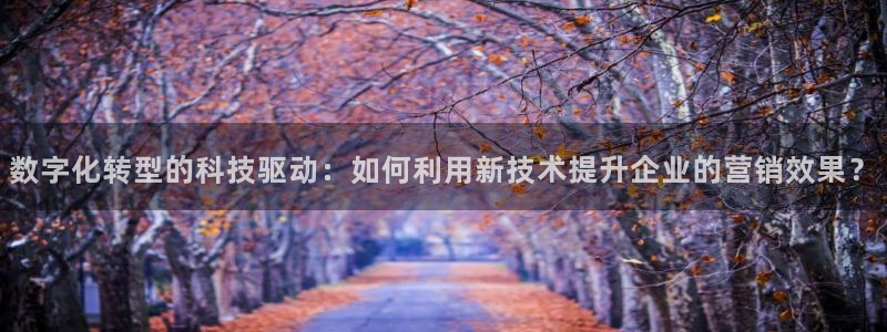 金年会体育app官网下载