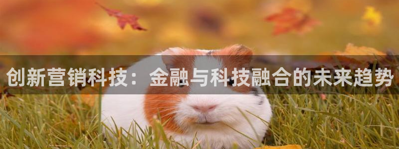 金年会官方网站首页入口下载