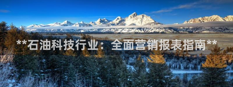 金年会体育app是干嘛的