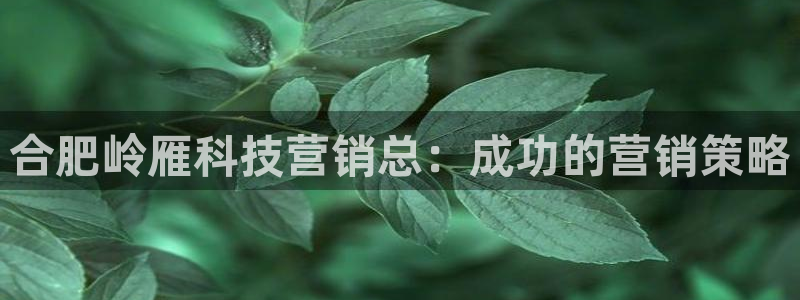 金年会赌博app平台可靠吗安全吗