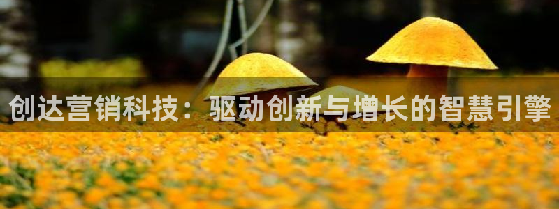 金年会电子官网下载