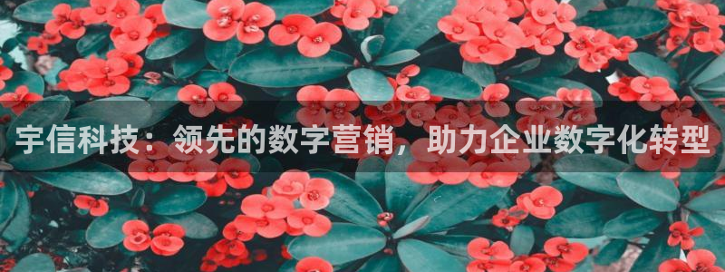 金年会官方下载app
