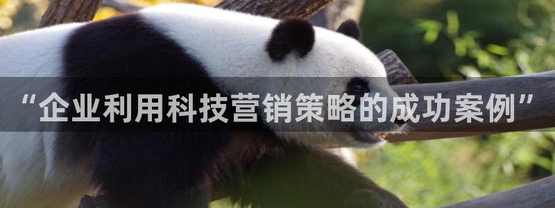 金年会诚信至上