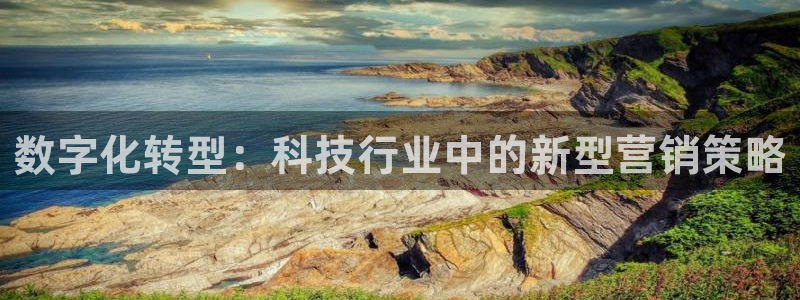金年会下载安卓